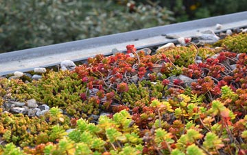 the cost of Westergate green roof installation