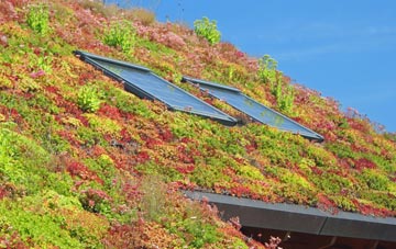 Westergate living roof systems